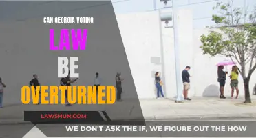 Georgia Voting Law: Can It Be Overturned?