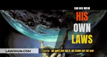 The Divine Laws: Can God Break Them?