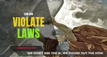 The Divine and Laws: Can God Break Them?