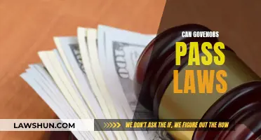 Governors' Law-Passing Powers: Explained