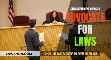 Agencies' Role: Advocating for Laws and Their Implementation