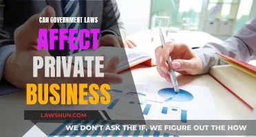 How Government Laws Influence Private Businesses