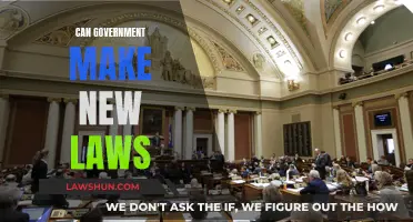 How Governments Create New Laws: A Guide