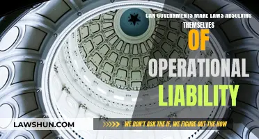 Governments Making Laws: Self-Absolved of Operational Liability?