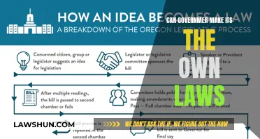 Who Makes the Laws? Government's Rule-Making Power Explored