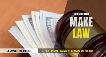 Governors and Laws: Who Makes Them?