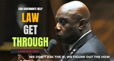 Governors' Powers: Can They Help Pass Laws?