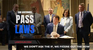 Governors' Law-Passing Powers: Explained