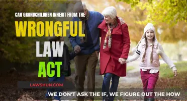 Wrongful Death Law: Grandchildren's Inheritance Rights Explained