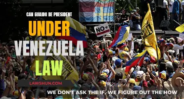 Guaido's Presidency: Is It Legal in Venezuela?