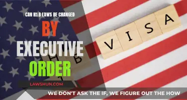 Executive Power: Changing H1-B Laws with Orders