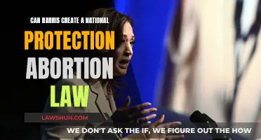 Harris' Challenge: National Abortion Law Protection?
