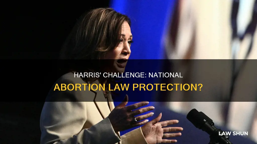 can harris create a national protection abortion law