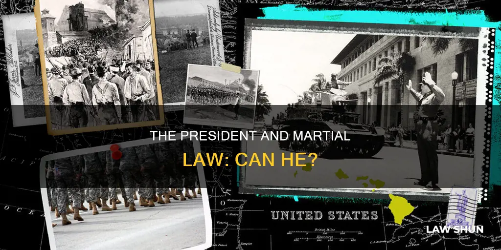 can he president declare marshall law