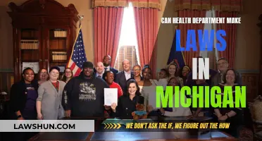 Health Department Lawmaking Powers in Michigan: Explained