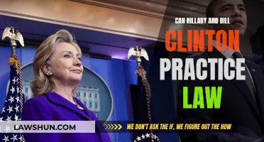 Clinton's Law: Can They Still Practice?