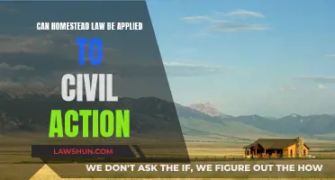 Homestead Law: Civil Action Protection?