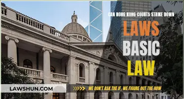 Hong Kong Courts: Striking Down Laws Within the Basic Law?