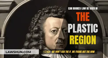 Hooke's Law: Plastic Region Applicability Explored