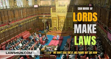 Exploring Law-Making Powers: The House of Lords