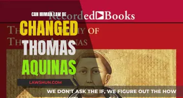 Human Law: Aquinas' View on Change and Flexibility