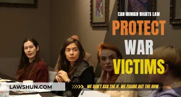 Human Rights Law: A Shield for War Victims?