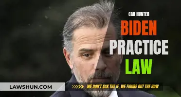 Hunter Biden's Law Career: Active or Inactive?