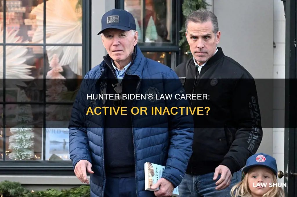 can hunter biden practice law