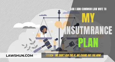 Adding Common-Law Spouses to Insurance Plans: Is It Possible?