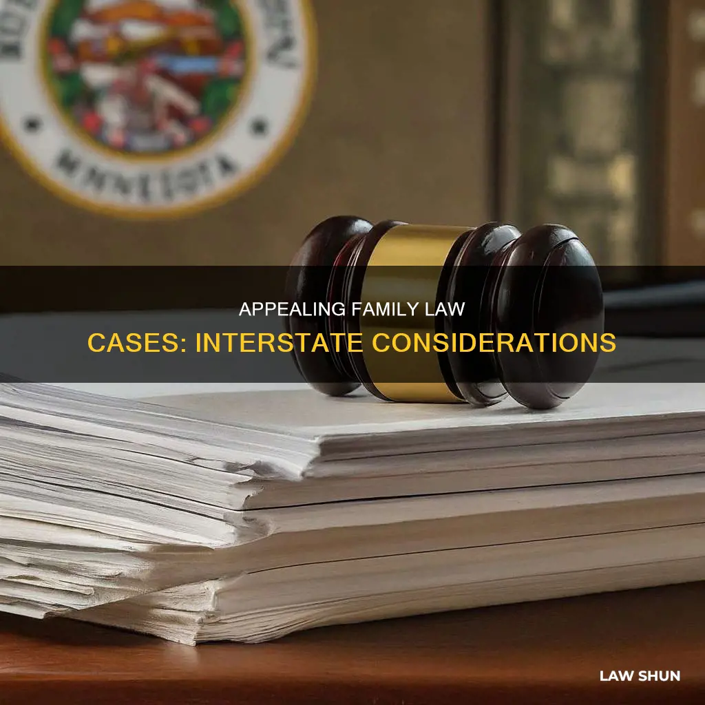 can i appeal my family law case from another state