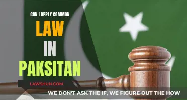 Common Law in Pakistan: Applicable or Not?