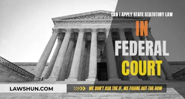 Statutory Laws in Federal Court: State vs. Federal