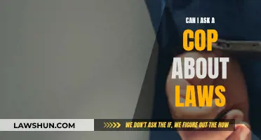 Understanding Laws: Can Cops Be Consulted?