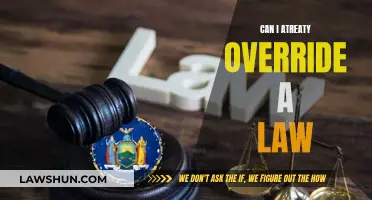 Can a Treaty Ever Override National Law?