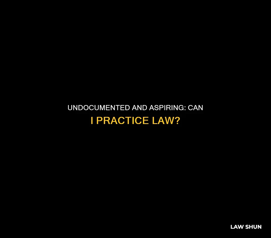 can i be a lawer if i am undocumented