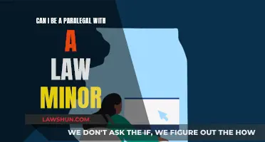 Paralegals: Can a Law Minor Kickstart Your Career?