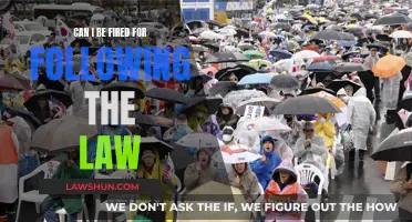 Following the Law: Can It Get You Fired?