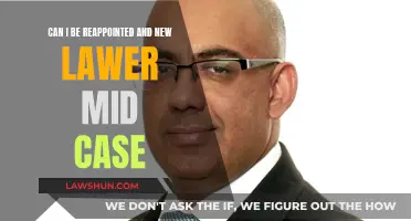 Switching Lawyers Mid-Case: Can I Reappoint?
