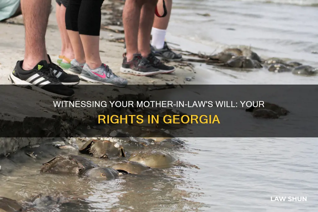 can i be witness to mother in laws will gheorgia