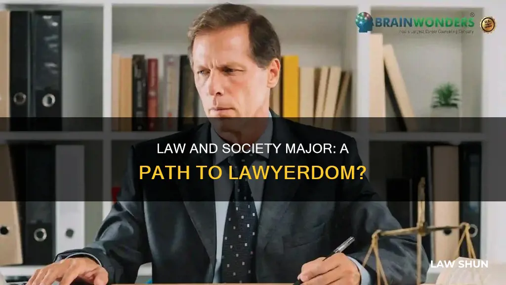 can i become a lawyer law and socitey major