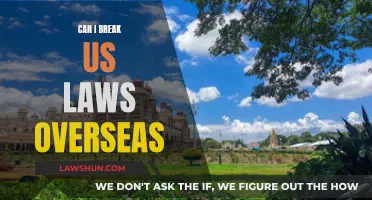 US Laws: Overseas Offenders and Jurisdiction