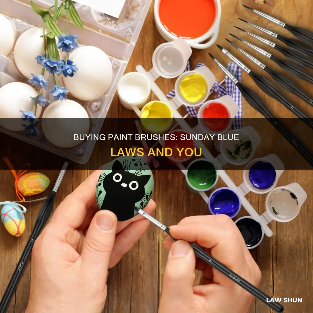 can i buy a paint brush sunday blue law