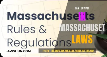 Massachusetts Marijuana Laws: Can You Buy Pot?
