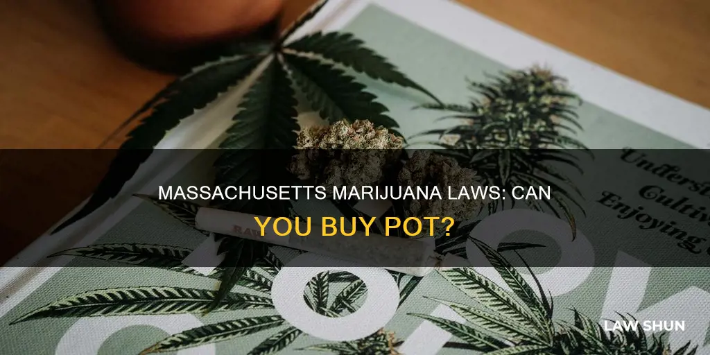 can i buy pot in massachusetts laws