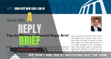 Citing New Case Law: Reply Brief Strategies