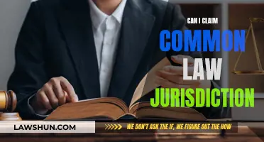 Understanding Common Law Jurisdiction and Your Legal Rights