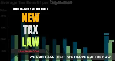 New Tax Law: Claiming My Mother, Possible?