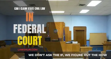Civil Law Claims: State vs Federal Court