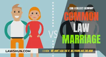Alimony and Common-Law Marriage: What You Need to Know