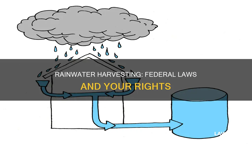 can i collecting rainwater federal law